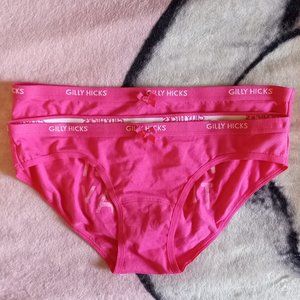 NEW GILLY HICKS Down Undies (Bikini Style)